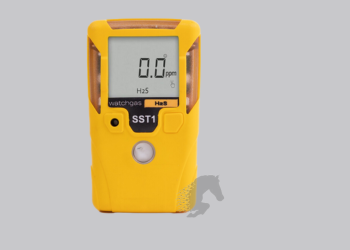 Personal Nitrogen Alarm SST1 2 And 3 Year Model